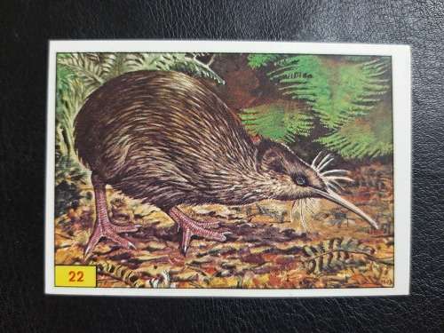 Figurine Panini Birds Sticker #22 (1979)