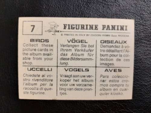 Figurine Panini Birds Sticker #7 (1979)
