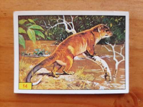 Figurine Panini Mammals Sticker #14 (1978)