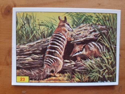 Figurine Panini Mammals Sticker #23 (1978)