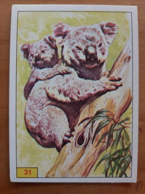 Figurine Panini Mammals Sticker #31 (1978)