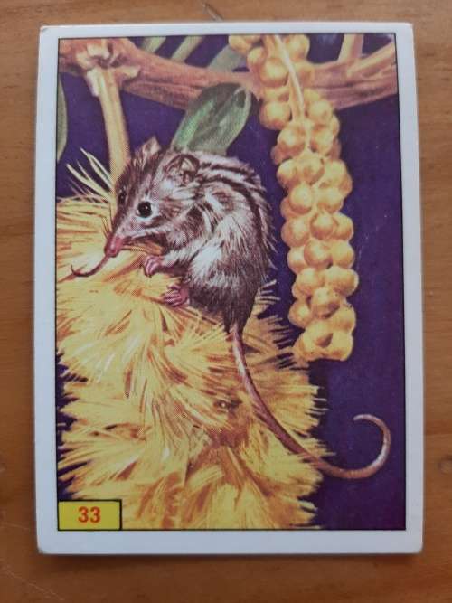 Figurine Panini Mammals Sticker #33 (1978)
