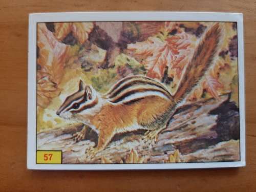 Figurine Panini Mammals Sticker #57 (1978)