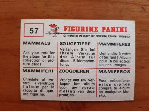 Figurine Panini Mammals Sticker #57 (1978)