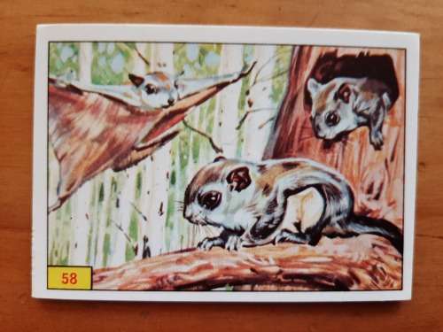 Figurine Panini Mammals Sticker #58 (1978)