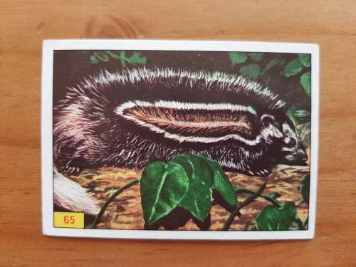 Figurine Panini Mammals Sticker #65 (1978)