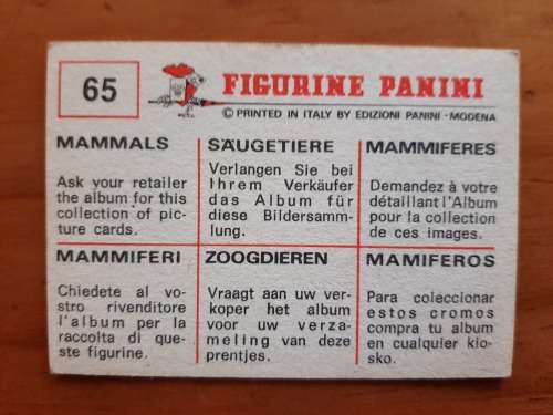 Figurine Panini Mammals Sticker #65 (1978)