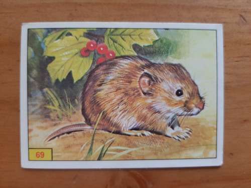 Figurine Panini Mammals Sticker #69 (1978)