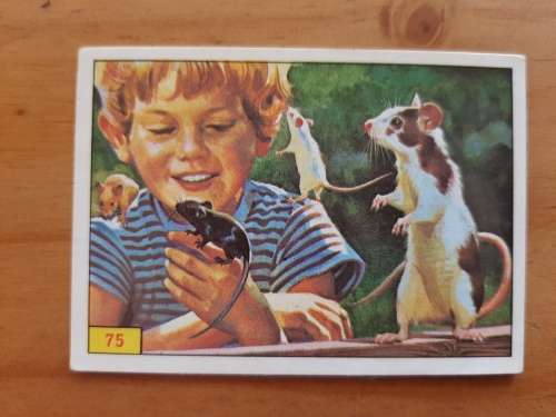 Figurine Panini Mammals Sticker #75 (1978)
