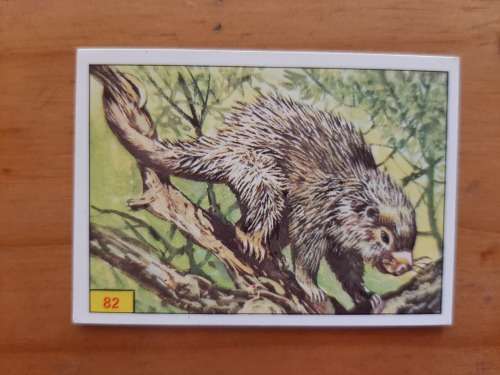 Figurine Panini Mammals Sticker #82 (1978)