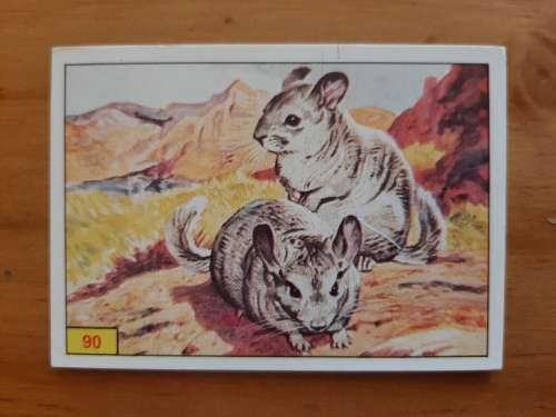 Figurine Panini Mammals Sticker #90 (1978)
