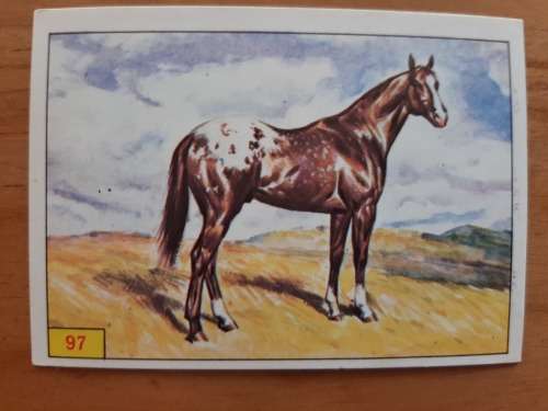 Figurine Panini Mammals Sticker #97 (1978)