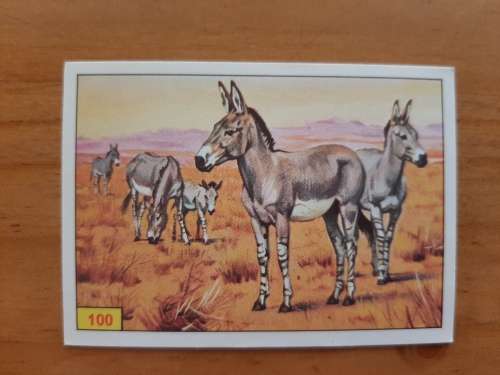 Figurine Panini Mammals Sticker #100 (1978)