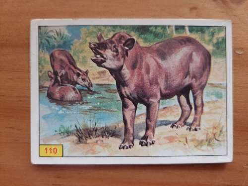 Figurine Panini Mammals Sticker #110 (1978)
