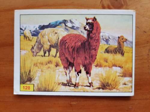 Figurine Panini Mammals Sticker #128 (1978)
