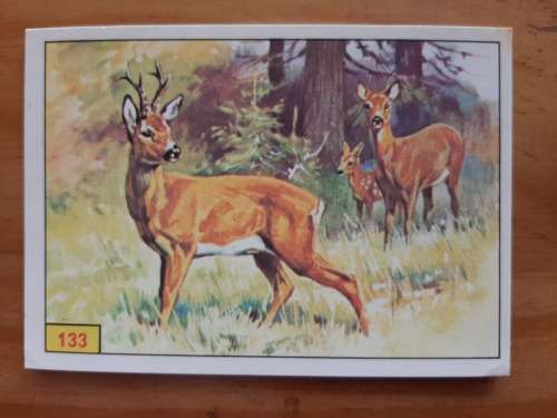 Figurine Panini Mammals Sticker #133 (1978)