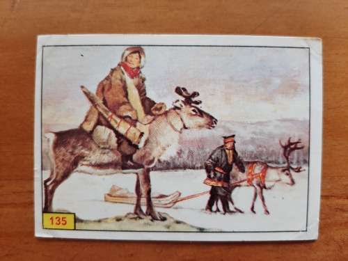 Figurine Panini Mammals Sticker #135 (1978)