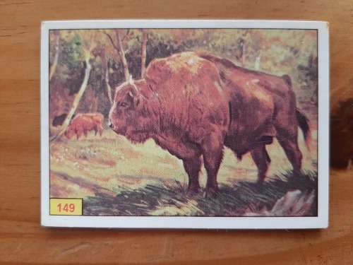 Figurine Panini Mammals Sticker #149 (1978)