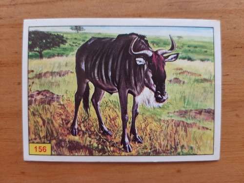 Figurine Panini Mammals Sticker #156 (1978)