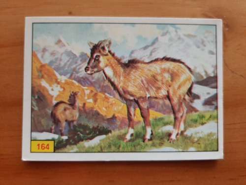 Figurine Panini Mammals Sticker #164 (1978)