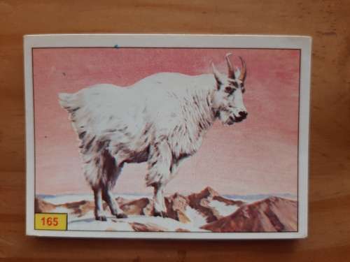 Figurine Panini Mammals Sticker #165 (1978)