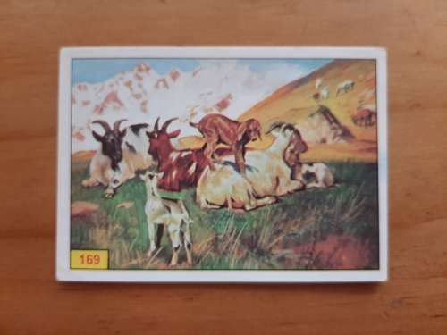 Figurine Panini Mammals Sticker #169 (1978)