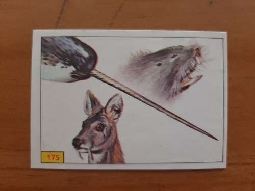 Figurine Panini Mammals Sticker #175 (1978)
