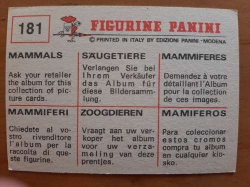 Figurine Panini Mammals Sticker #181 (1978)