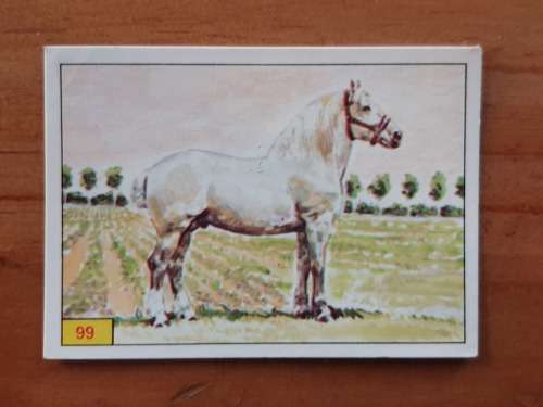 Figurine Panini Mammals Sticker #99 (1978)