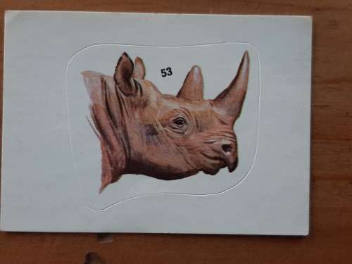 Figurine Panini Mammals Sticker #217 (1978)