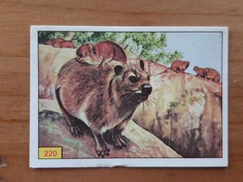 Figurine Panini Mammals Sticker #220 (1978)
