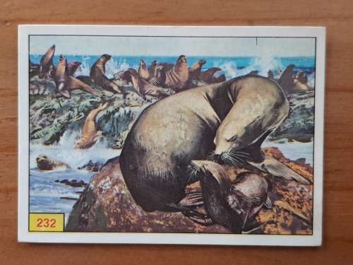 Figurine Panini Mammals Sticker #232 (1978)