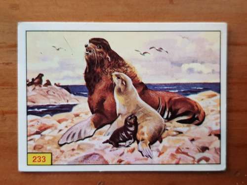 Figurine Panini Mammals Sticker #233 (1978)