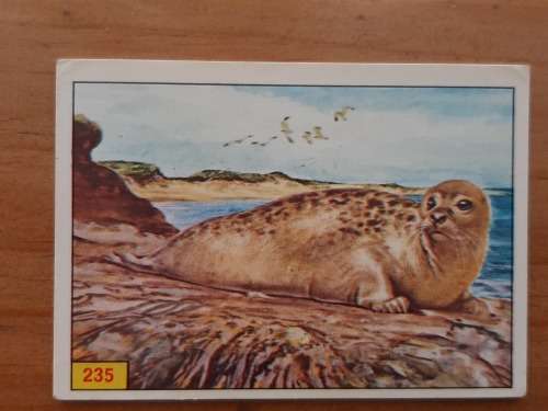 Figurine Panini Mammals Sticker #235 (1978)
