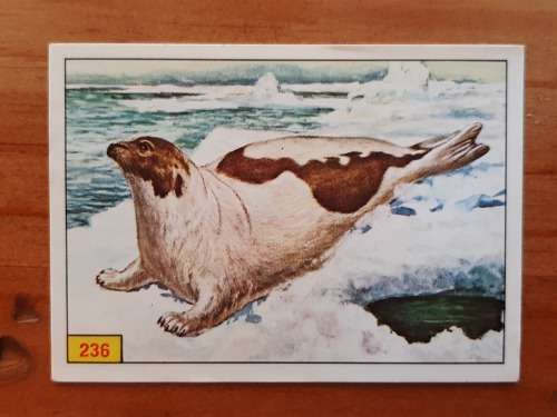 Figurine Panini Mammals Sticker #236 (1978)