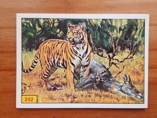 Figurine Panini Mammals Sticker #242 (1978)