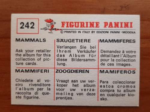 Figurine Panini Mammals Sticker #242 (1978)