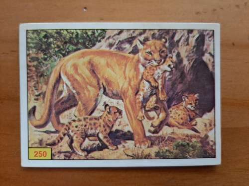 Figurine Panini Mammals Sticker #250 (1978)