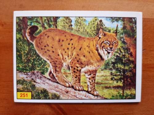 Figurine Panini Mammals Sticker #251 (1978)