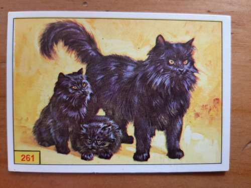 Figurine Panini Mammals Sticker #261 (1978)