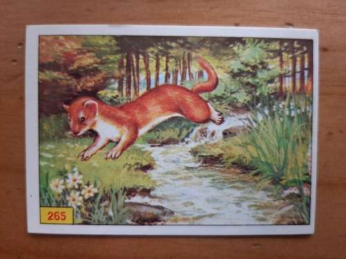 Figurine Panini Mammals Sticker #265 (1978)