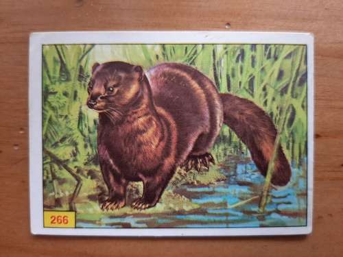 Figurine Panini Mammals Sticker #266 (1978)