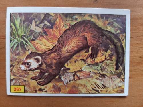 Figurine Panini Mammals Sticker #267 (1978)