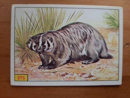 Figurine Panini Mammals Sticker #275 (1978)