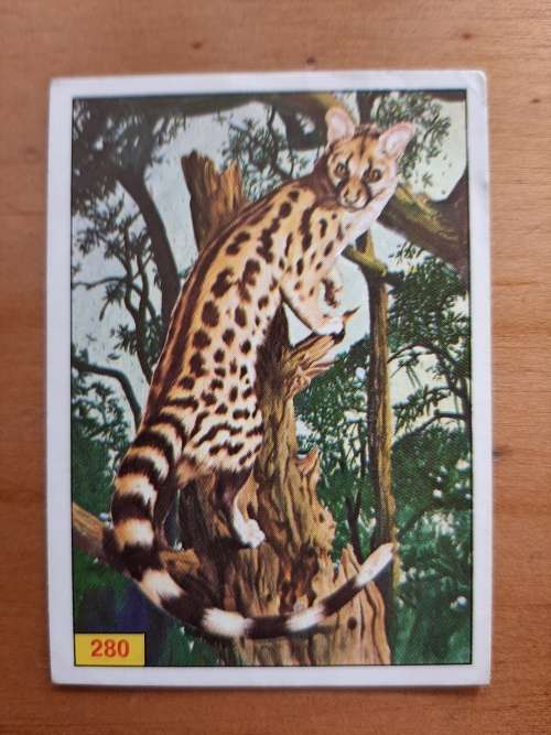 Figurine Panini Mammals Sticker #280 (1978)