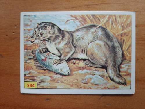 Figurine Panini Mammals Sticker #284 (1978)