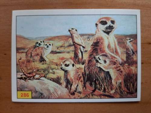 Figurine Panini Mammals Sticker #286 (1978)