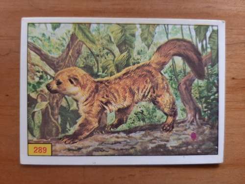 Figurine Panini Mammals Sticker #289 (1978)
