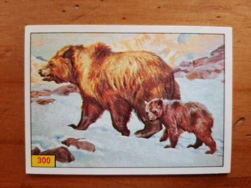Figurine Panini Mammals Sticker #300 (1978)