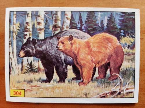 Figurine Panini Mammals Sticker #304 (1978)